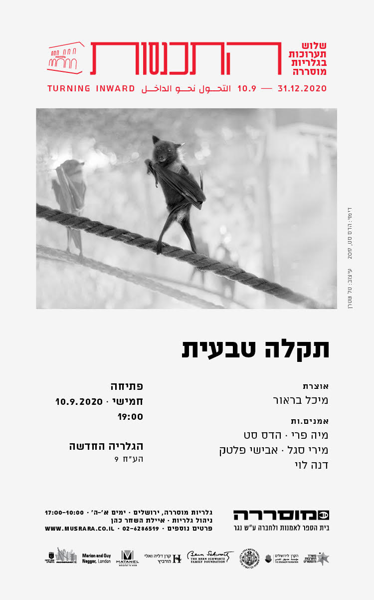 טקסט אלטרנטי