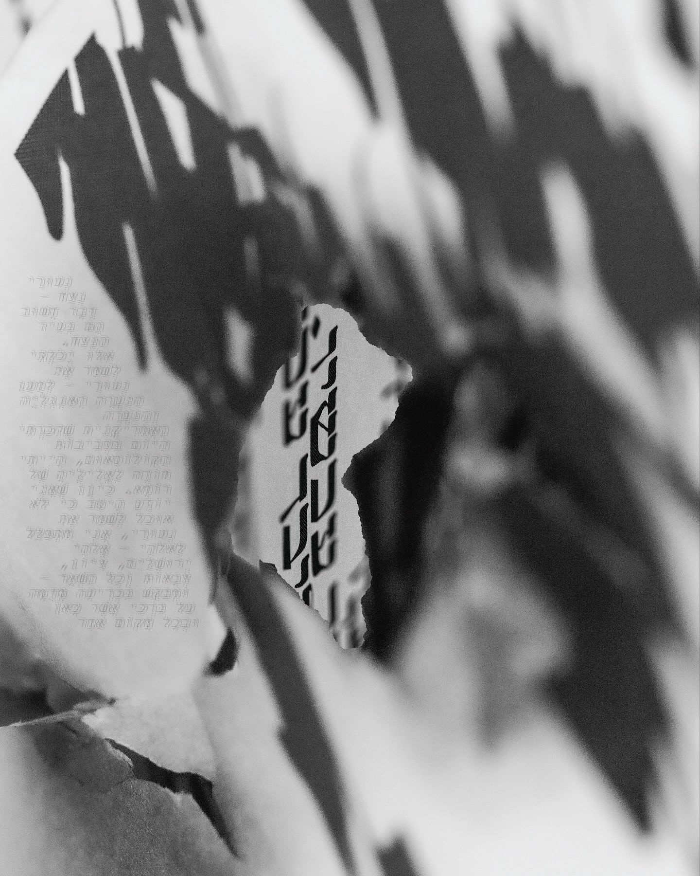 התפתחות תחום התקשורת החזותית