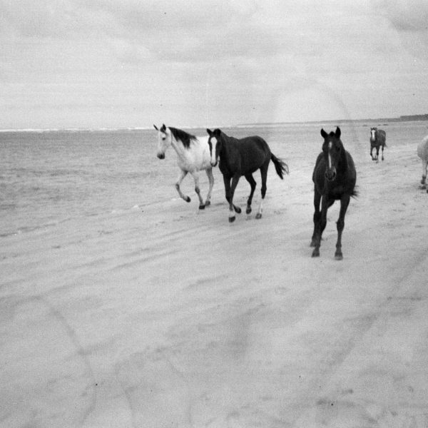 דנה לב לבנת, ללא כותרת,2022, צילום אנלוגי הזרקת דיועל נייר ארכיבי