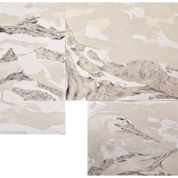 הדס דוכן , כל ההרים הרמים (הרי את), טכנירקה מעורבת, 2024 (פרטים מקולאז׳ רישומי, דונג דבורים וגרפיט על נייר), .jpg