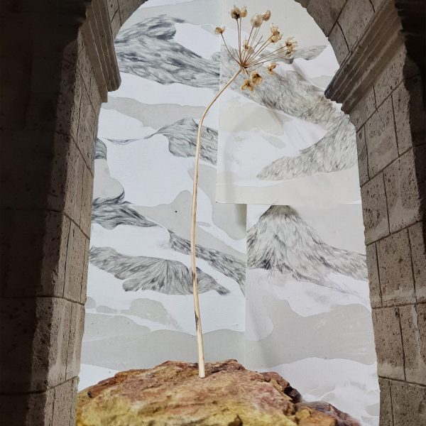 הדס דוכן, ללא כותרת, 2024 ,טכניקה מעורבת