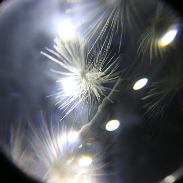 הדס דוכן, רוח גבית, 2024, פסל קינטי