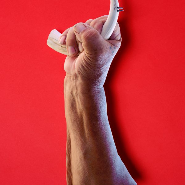 ציקי אייזנברג, אי המטמון, קוקו זרוע, 2025, תצלום צבע